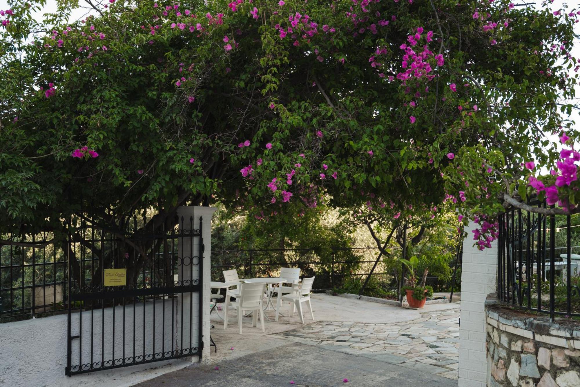 Ulisse Apartments Paleokastritsa Buitenkant foto